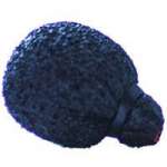 Rycote 1x Neoprene Coated Mini Foam pop/wind Shield for Lavalier mics of 2.8mm in Diameter and up to 15mm Length (p/n 105526) Rycote 1x Neoprene Coated Mini Foam pop/wind Shield for Lavalier mics of 2.8mm in Diameter and up to 15mm Length (p/n 105526)